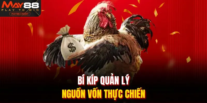 Bí kíp quản lý nguồn vốn thực chiến